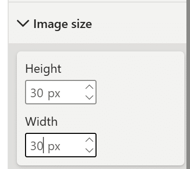 Image size